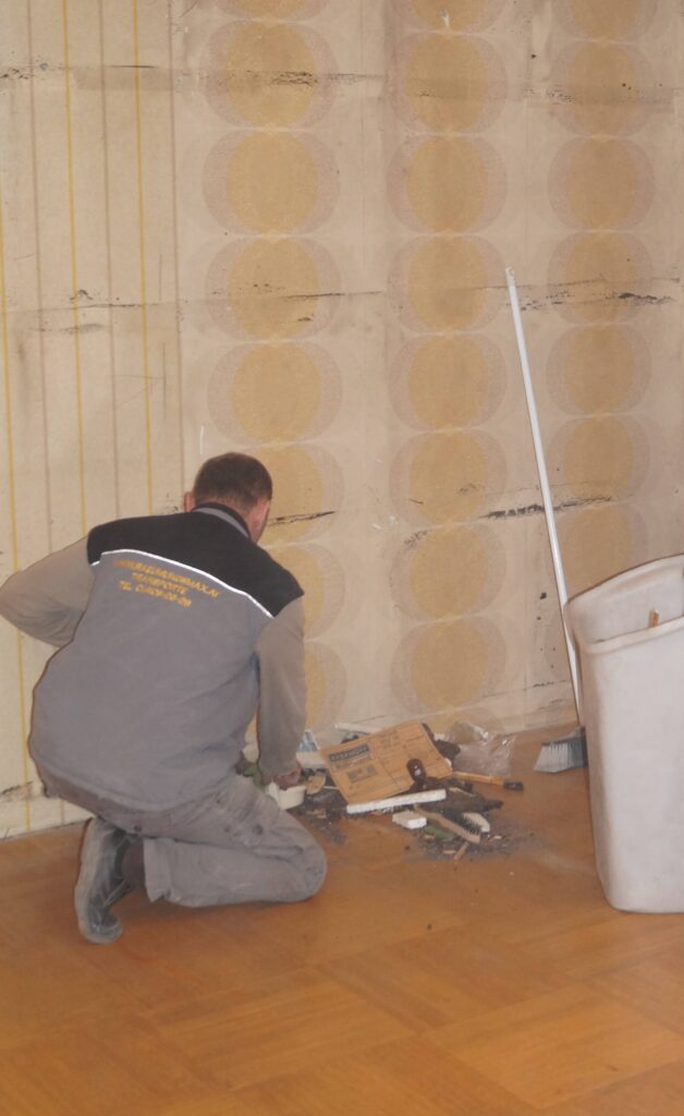 Fuhrpark Entrümpelungsarbeiten (2)